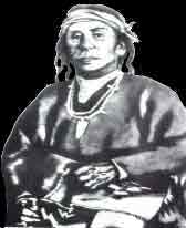 Cochise